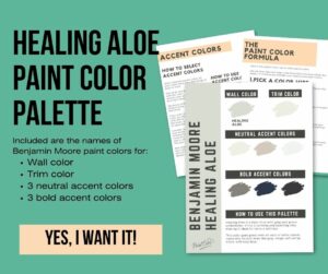 Benjamin Moore Healing Aloe A Complete Color Review The Paint Color