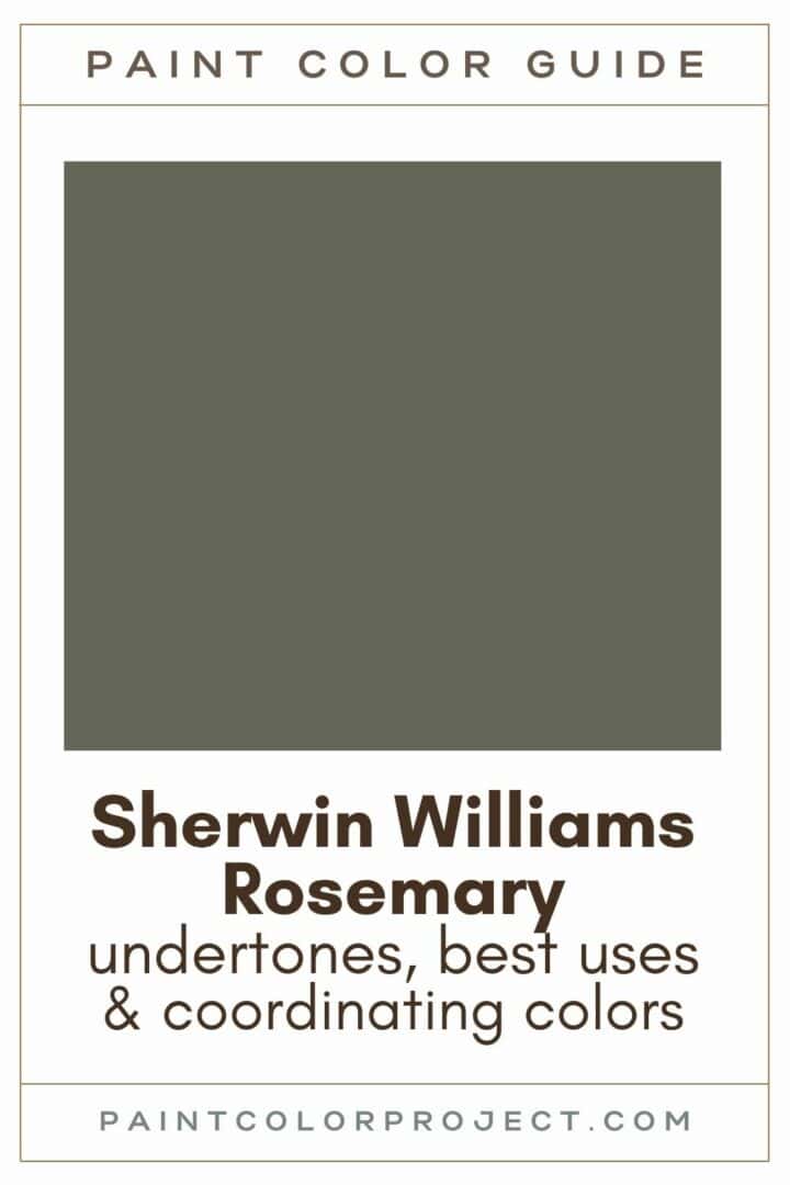 Sherwin Williams Rosemary A Complete Color Review The Paint Color