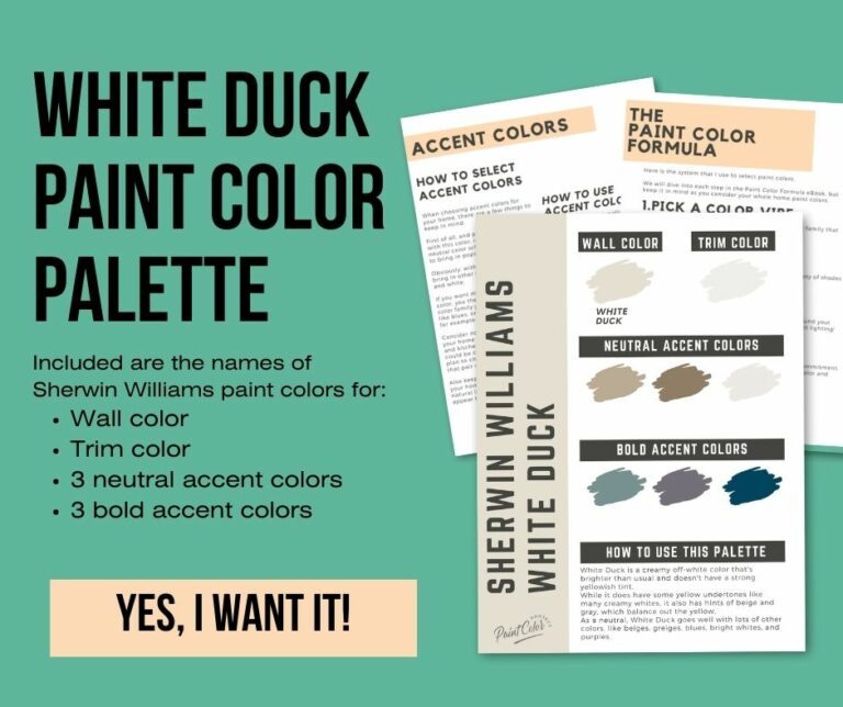 Sherwin Williams White Duck Complete Color Review The Paint Color