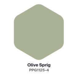 PPG olive spring