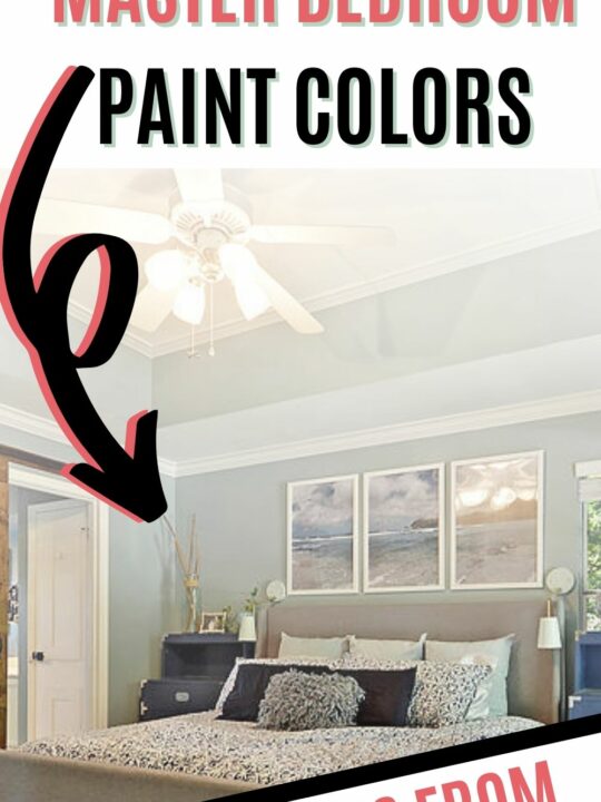 THE BEST MASTER BED ROOM PAINT COLORS