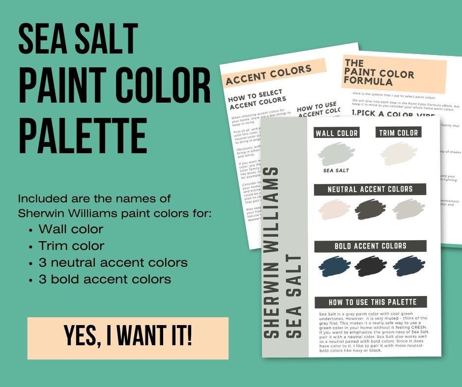 sea salt paint color palette