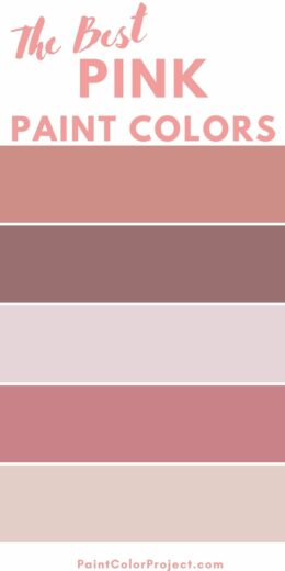 The best pink paint colors for your home in 2024 - The Paint Color Project