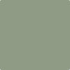 The 6 best Benjamin Moore Sage Green paint colors - The Paint Color Project