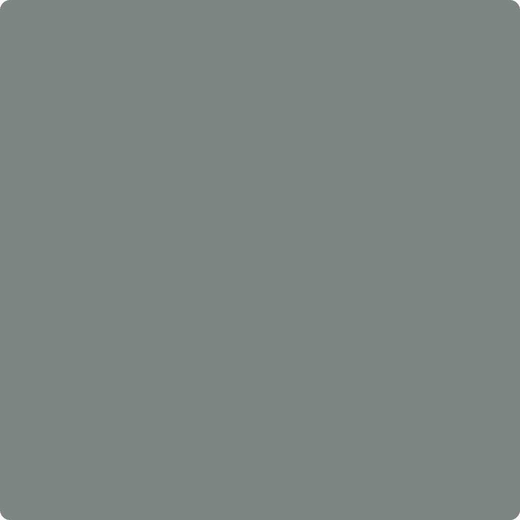 Sherwin Williams Rare Gray SW-6199 