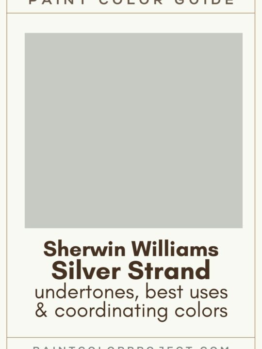 Sherwin Williams Silver Strand Paint Color guide