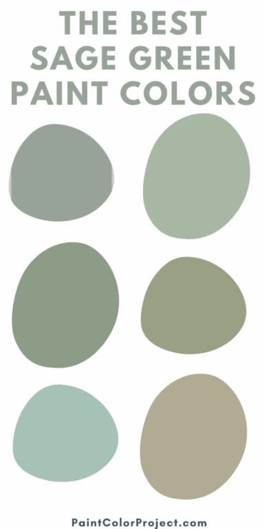 The 15 best sage green paint colors for 2024 - The Paint Color Project