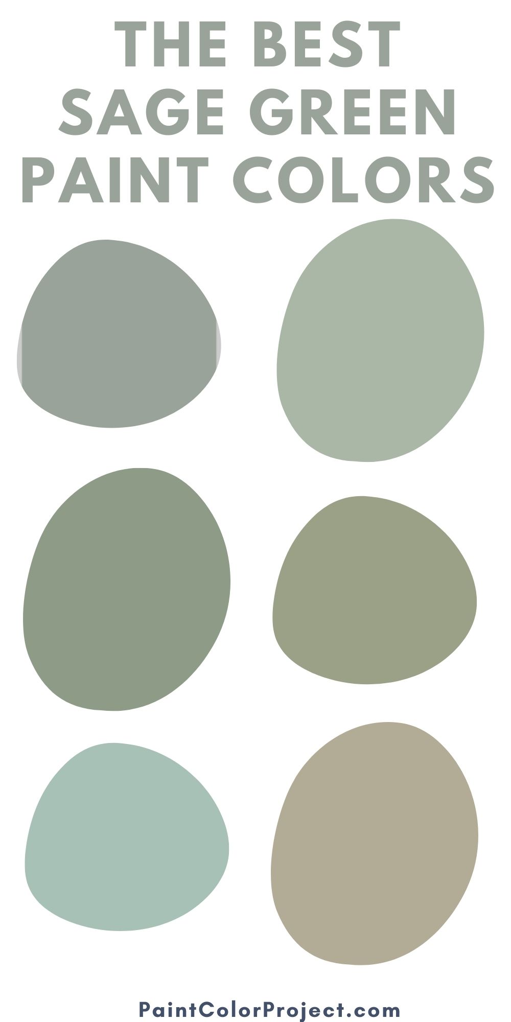 Olive green vs Sage green - what is the difference? - The Paint Color ...