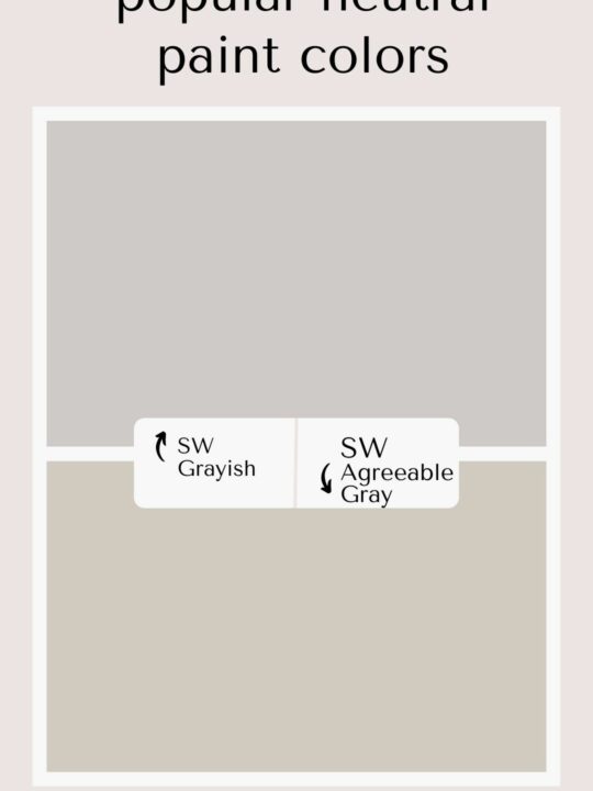 grayish vs agreeable gray (1)