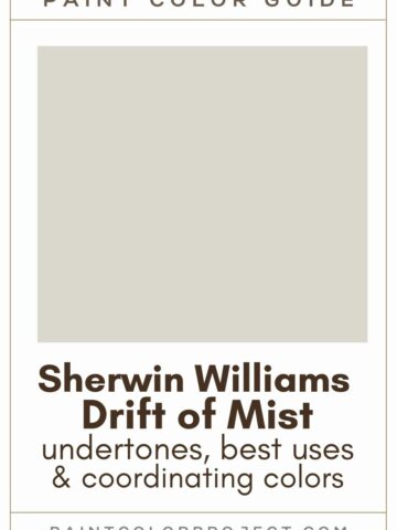 Sherwin Williams Icy: a complete color review - The Paint Color Project