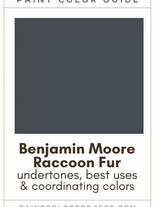 Benjamin Moore Raccoon Fur paint color guide