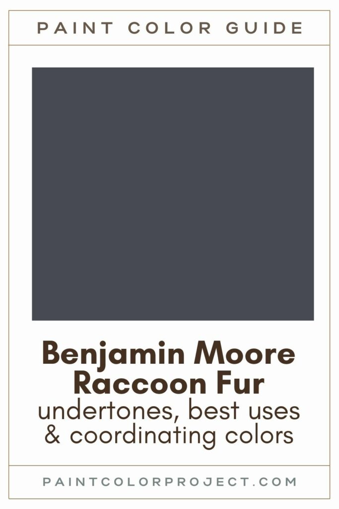 Benjamin Moore Raccoon Fur paint color guide