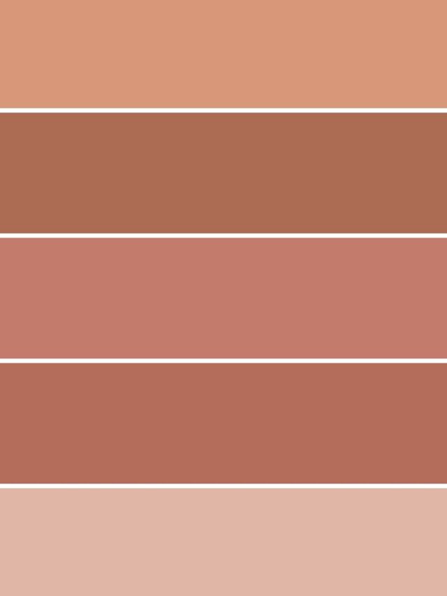The best terra cotta paint colors in 2024