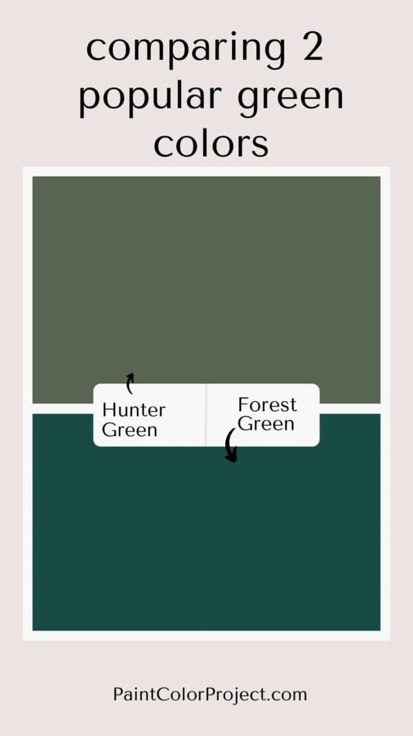 Forest Green vs Hunter Green what is the difference? The Paint Color