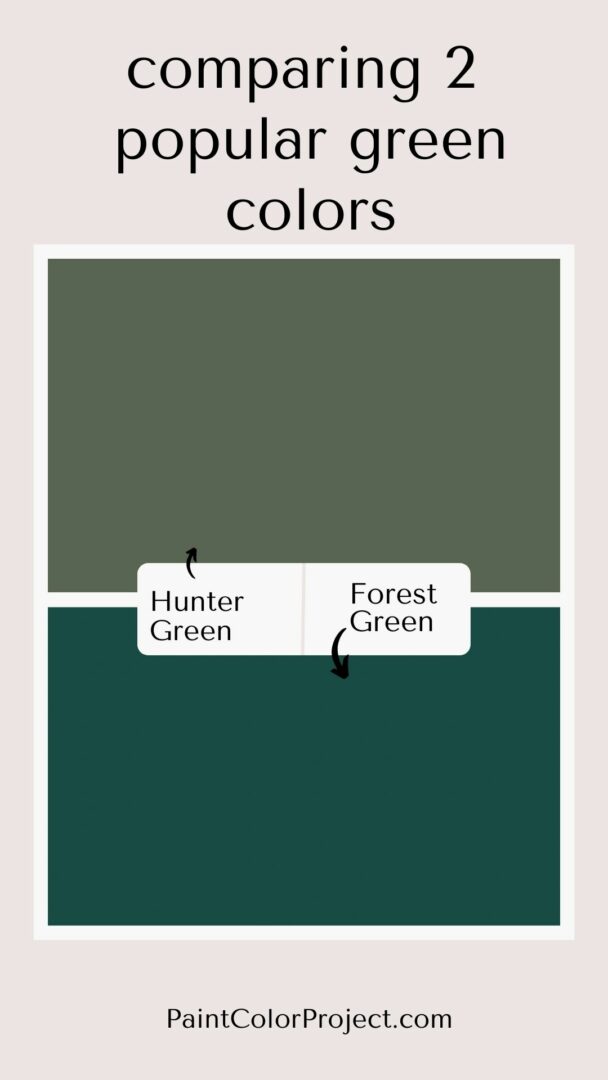 Forest Green vs Hunter Green: what is the difference? - The Paint Color