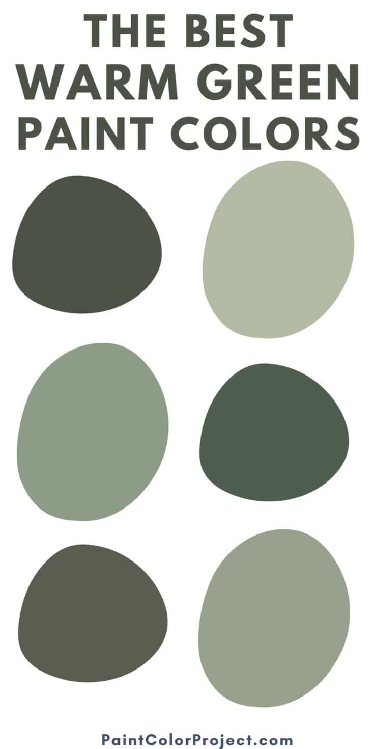 The best warm green paint colors for 2024 The Paint Color Project