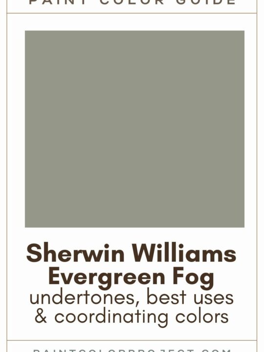 Sherwin Williams Evergreen Fog paint color guide
