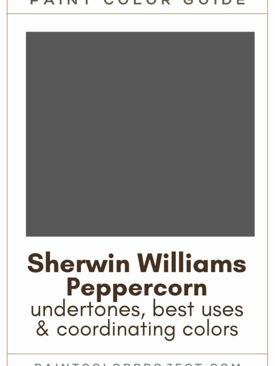 Sherwin Williams Peppercorn paint color guide