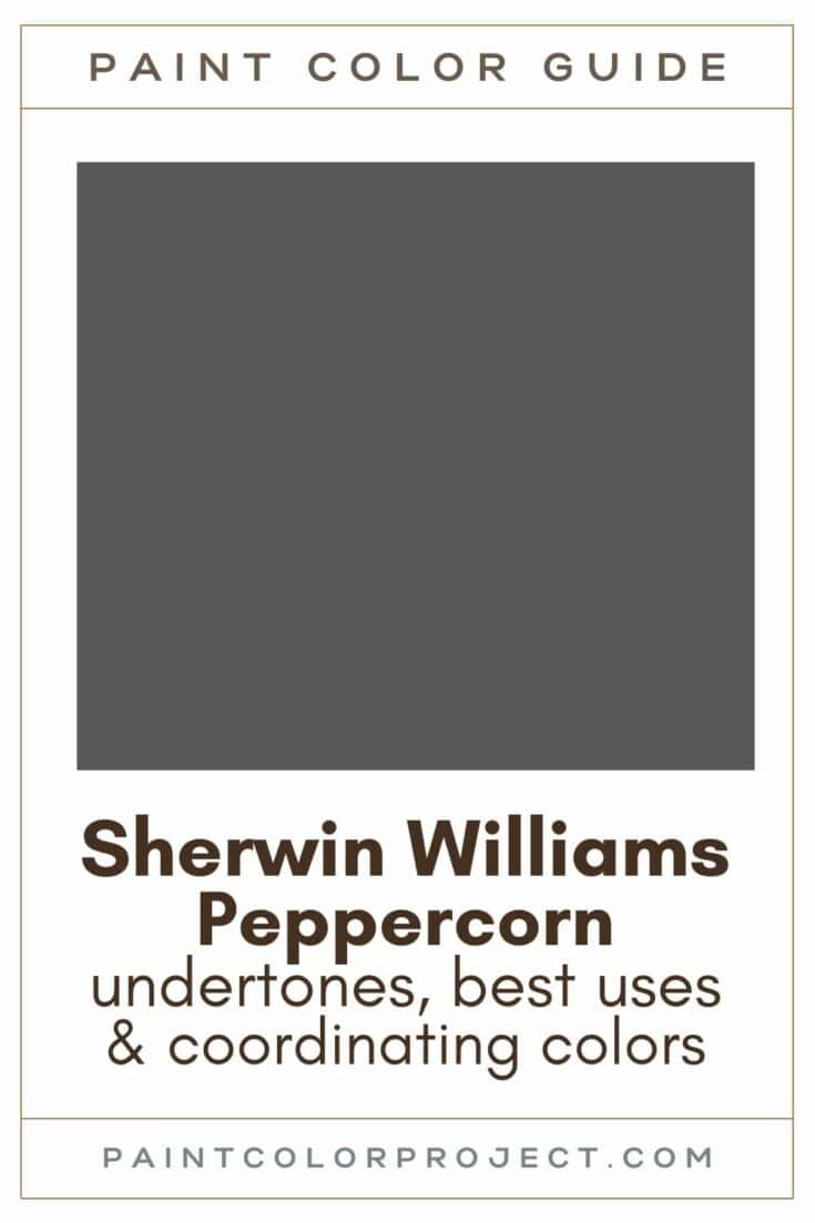 Sherwin Williams Peppercorn a complete color review The Paint Color