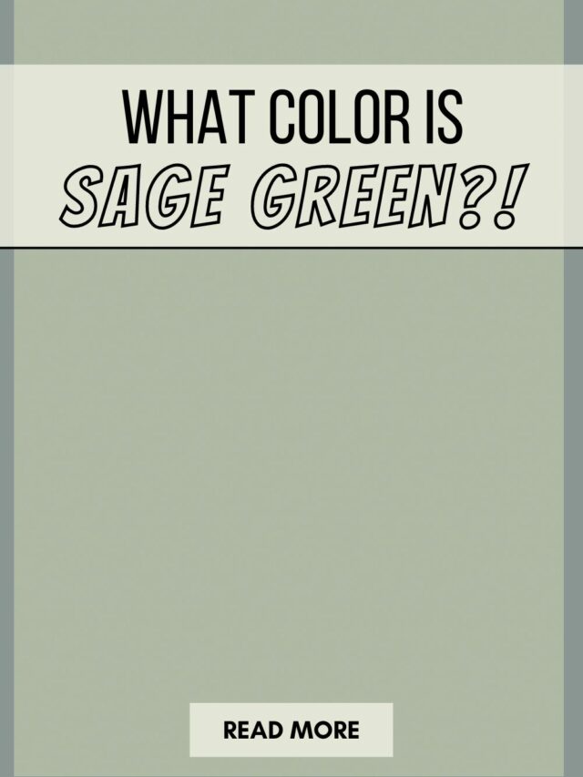 The Best Gray To Pair With Sage Green The Paint Color Project