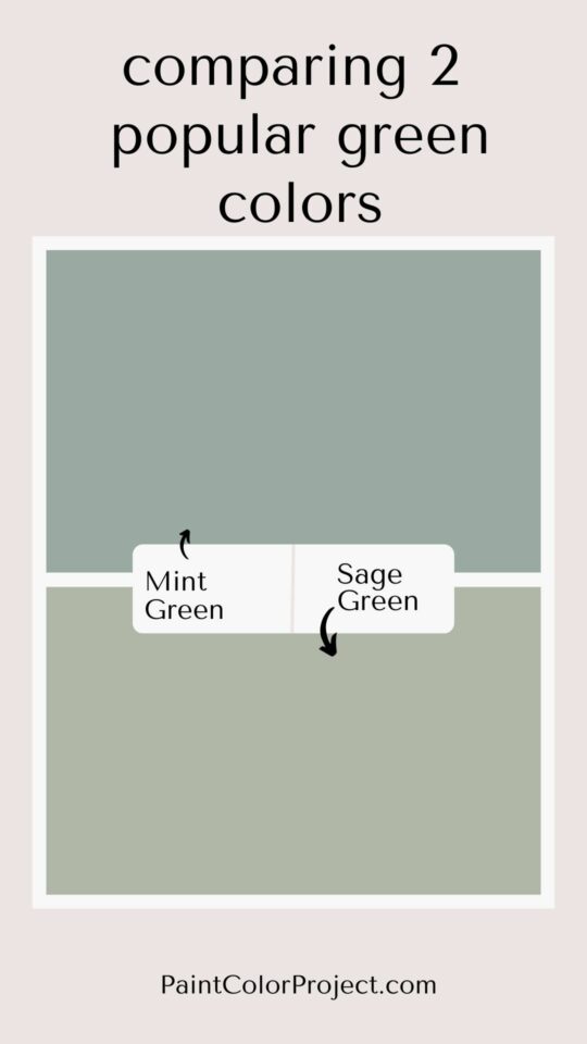 everything-about-the-color-sage-green-the-paint-color-project