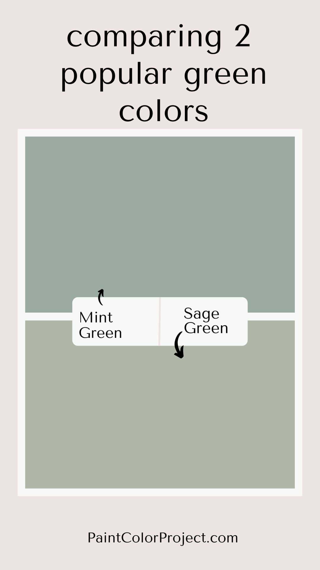 mint-green-vs-sage-green-what-is-the-difference-the-paint-color