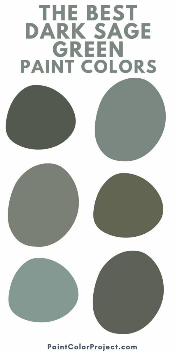 The 9 best dark sage green paint colors The Paint Color Project