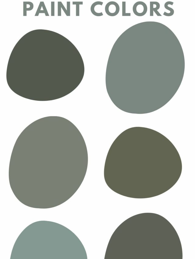 the-best-colors-that-go-with-sage-green-the-paint-color-project