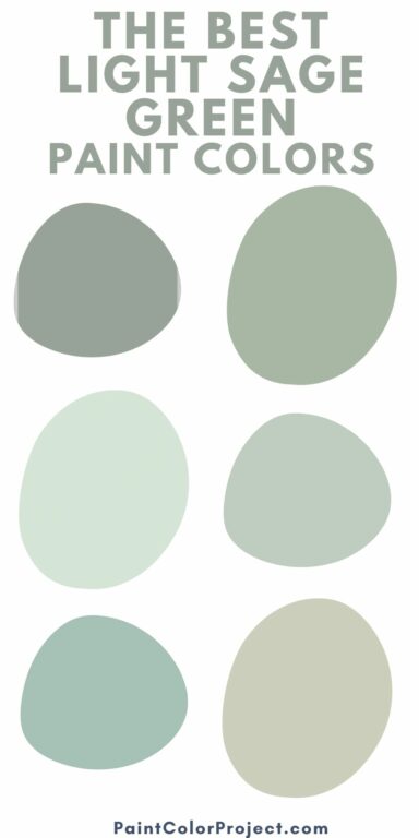 The 11 best light sage green paint colors - The Paint Color Project