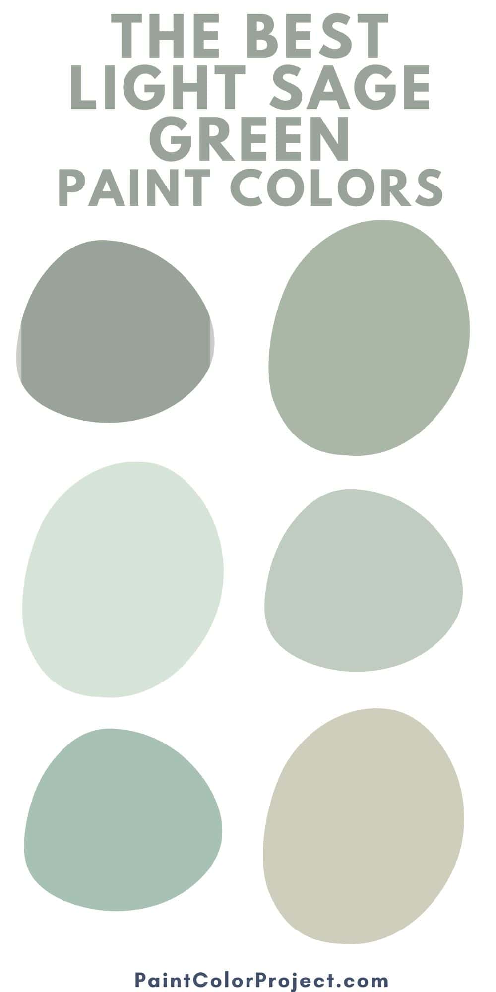Everything About The Color Sage Green The Paint Color Project