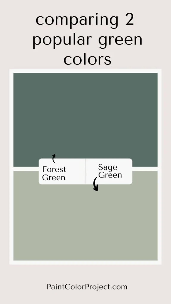 everything-about-the-color-sage-green-the-paint-color-project