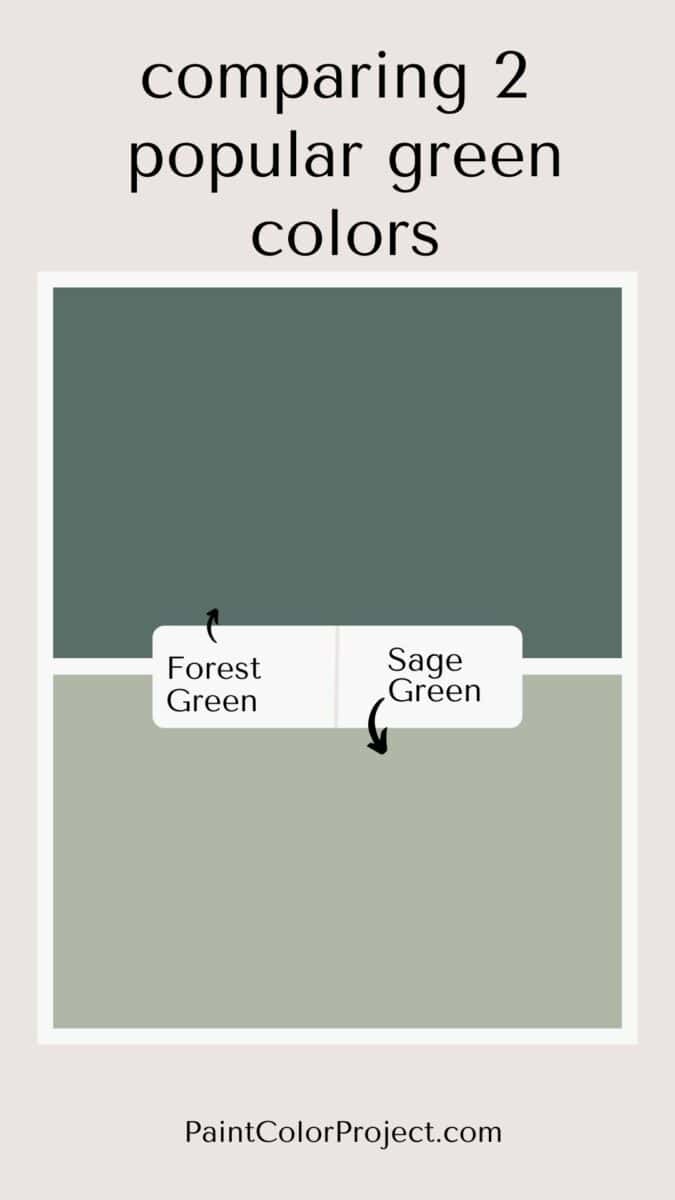 Forest green vs Sage green what's the difference? The Paint Color