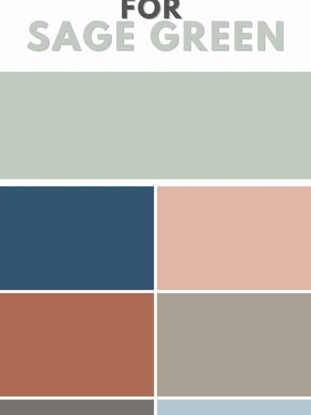 The 9 best dark sage green paint colors The Paint Color Project