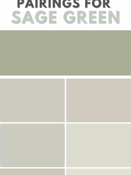 the best warm gray accent colors for sage green