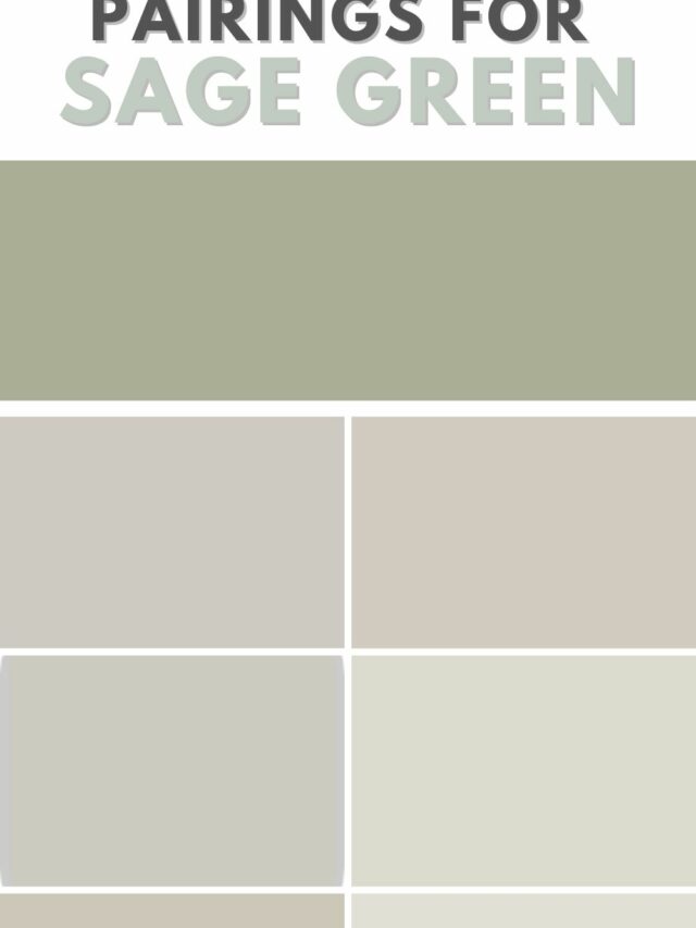 The 6 Best Sherwin Williams Sage Green Paint Colors - The Paint Color ...