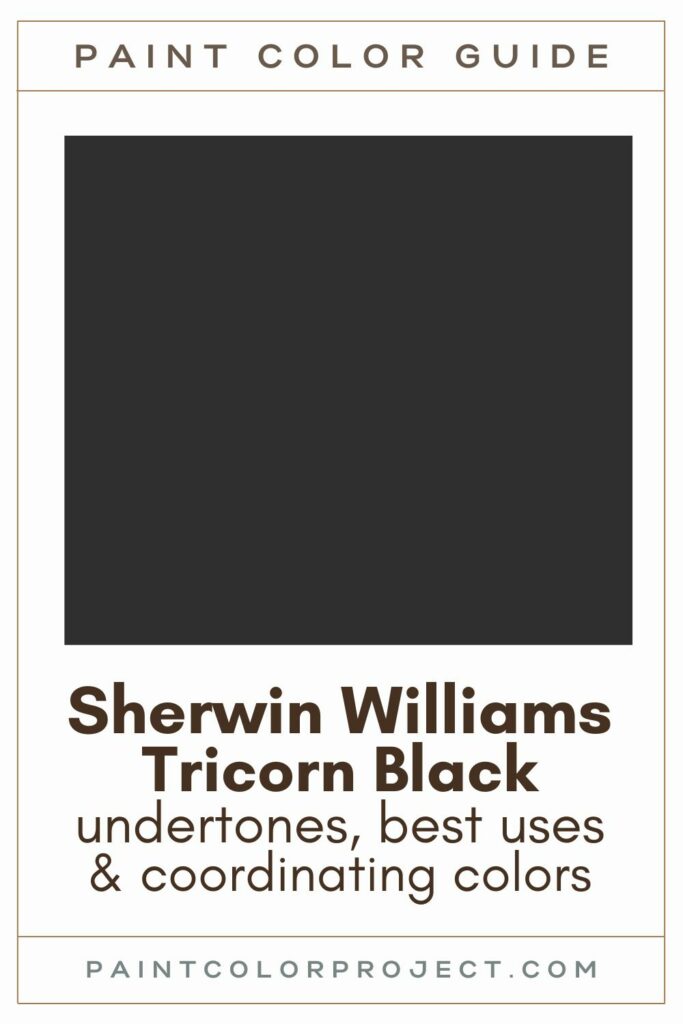 Sherwin Williams Tricorn Black paint color guide