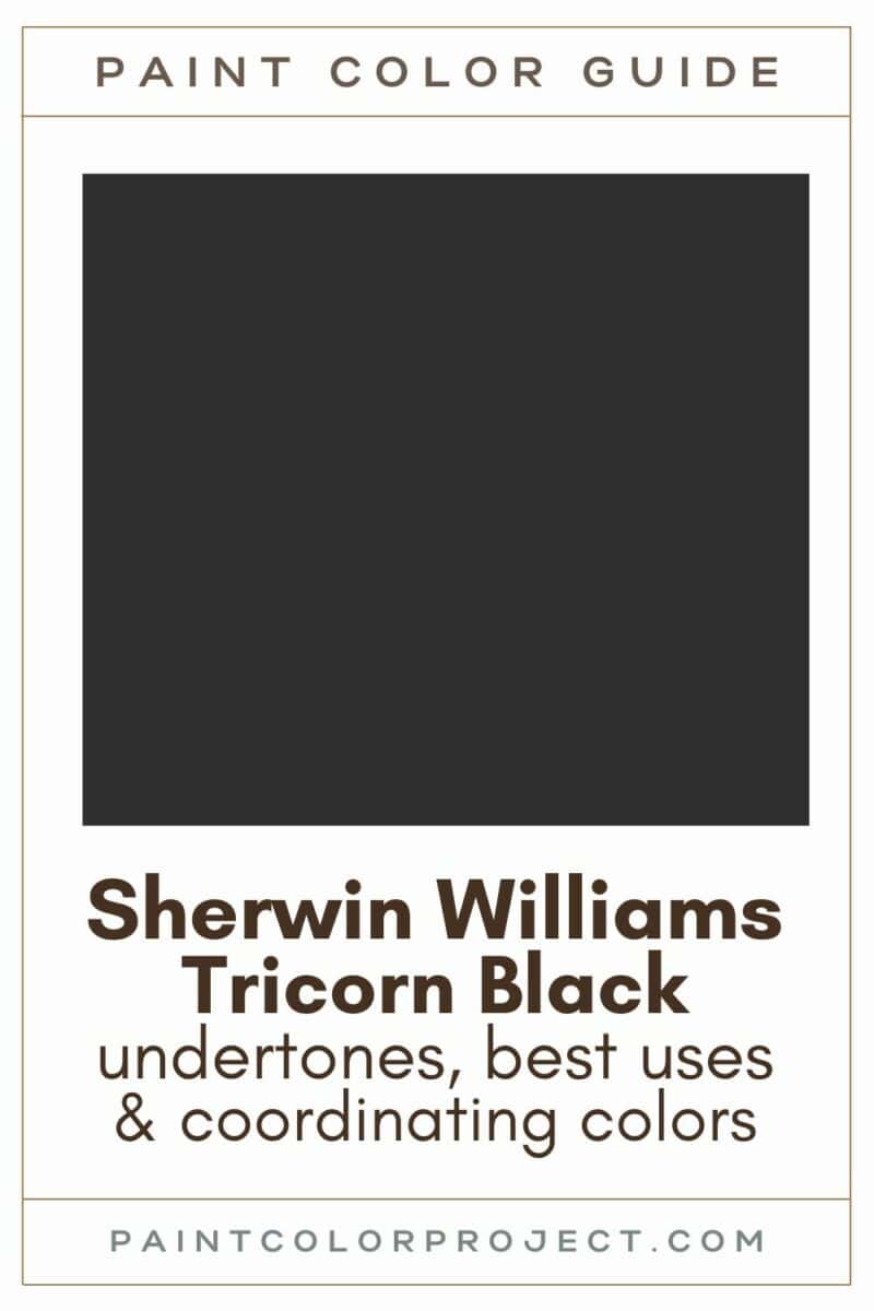 Sherwin Williams Tricorn Black Complete Color Review The Paint Color Project