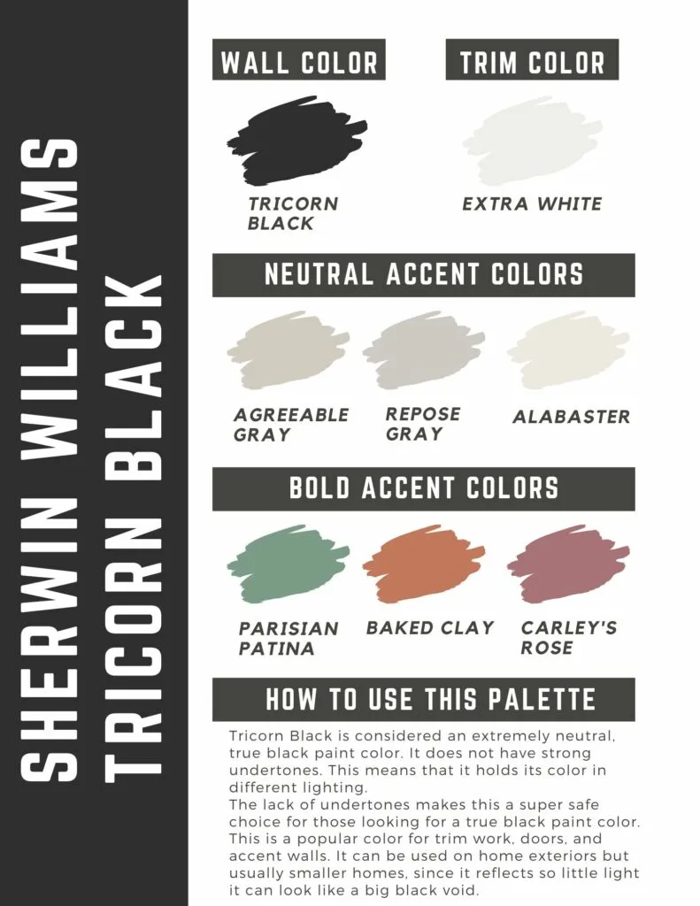 Sherwin Williams Tricorn Black paint color palette