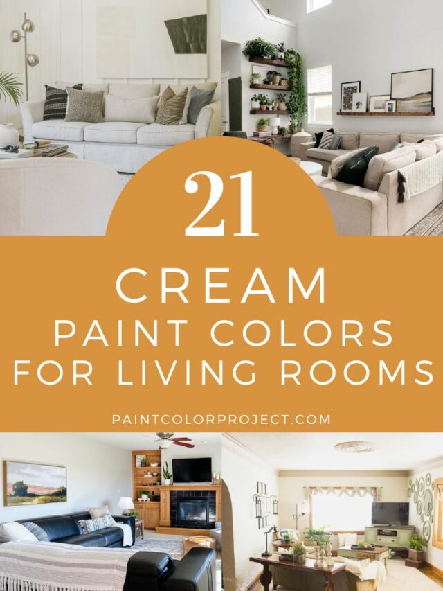 The 21 best warm cream paint colors - The Paint Color Project