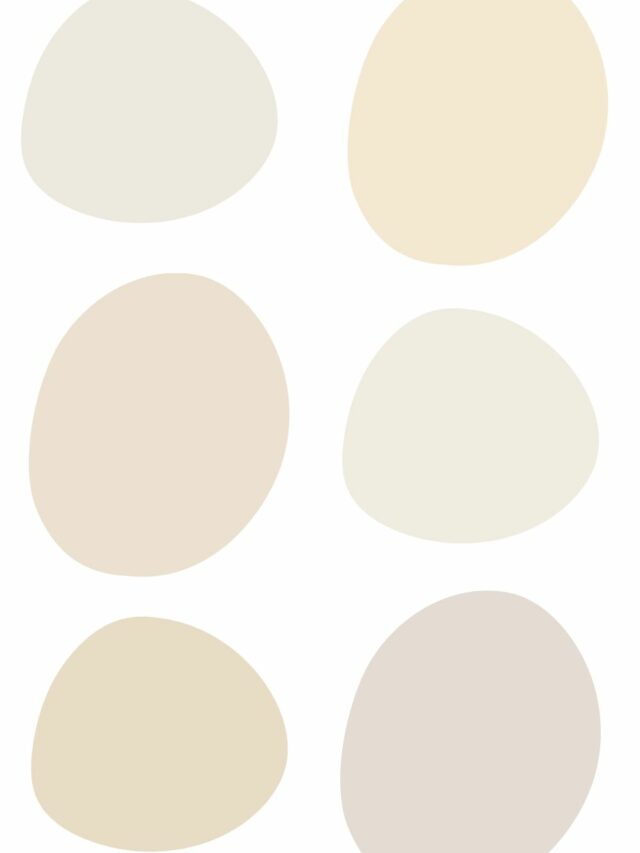 10 best Sherwin Williams cream paint colors