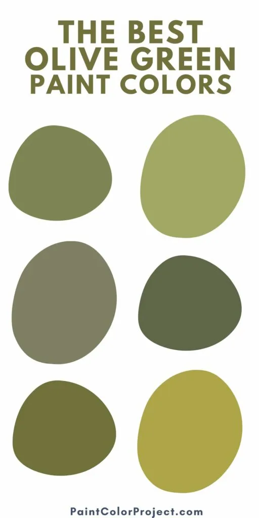 Olive green vs Sage green - what is the difference? - The Paint Color