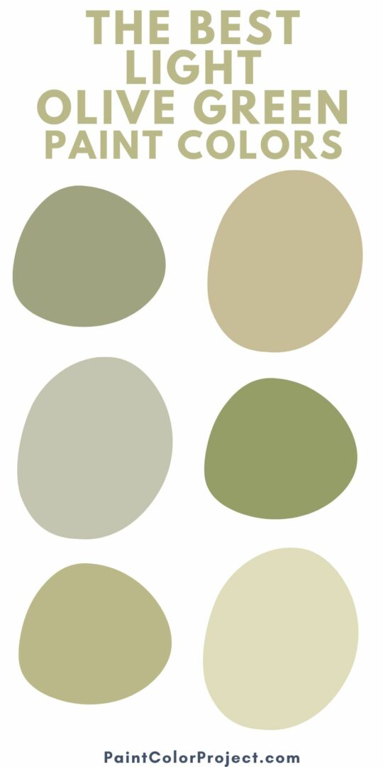 29 Best olive green paint colors for your home - The Paint Color Project