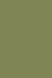 Farrow and Ball Sap Green