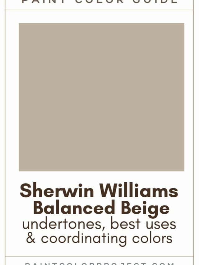 The 11 best Sherwin Williams Olive Green paint colors The Paint Color
