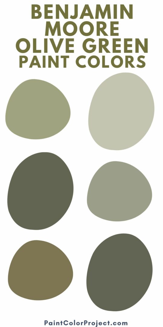 The 15 best Benjamin Moore Olive Green paint colors - The Paint Color ...