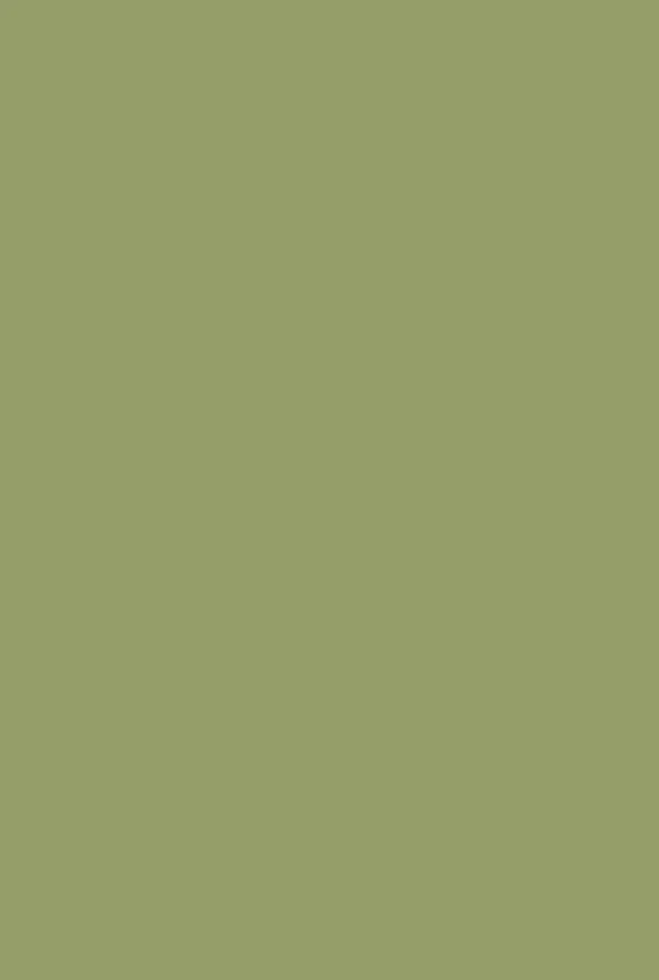farrow and ball olive