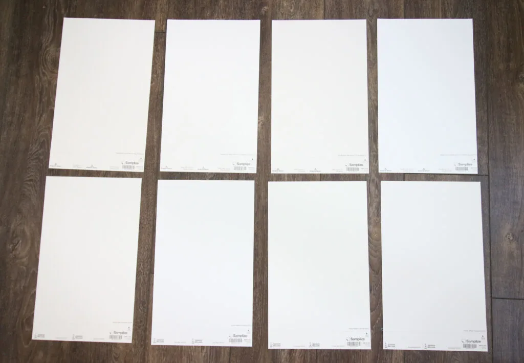 white paint samples samplize
