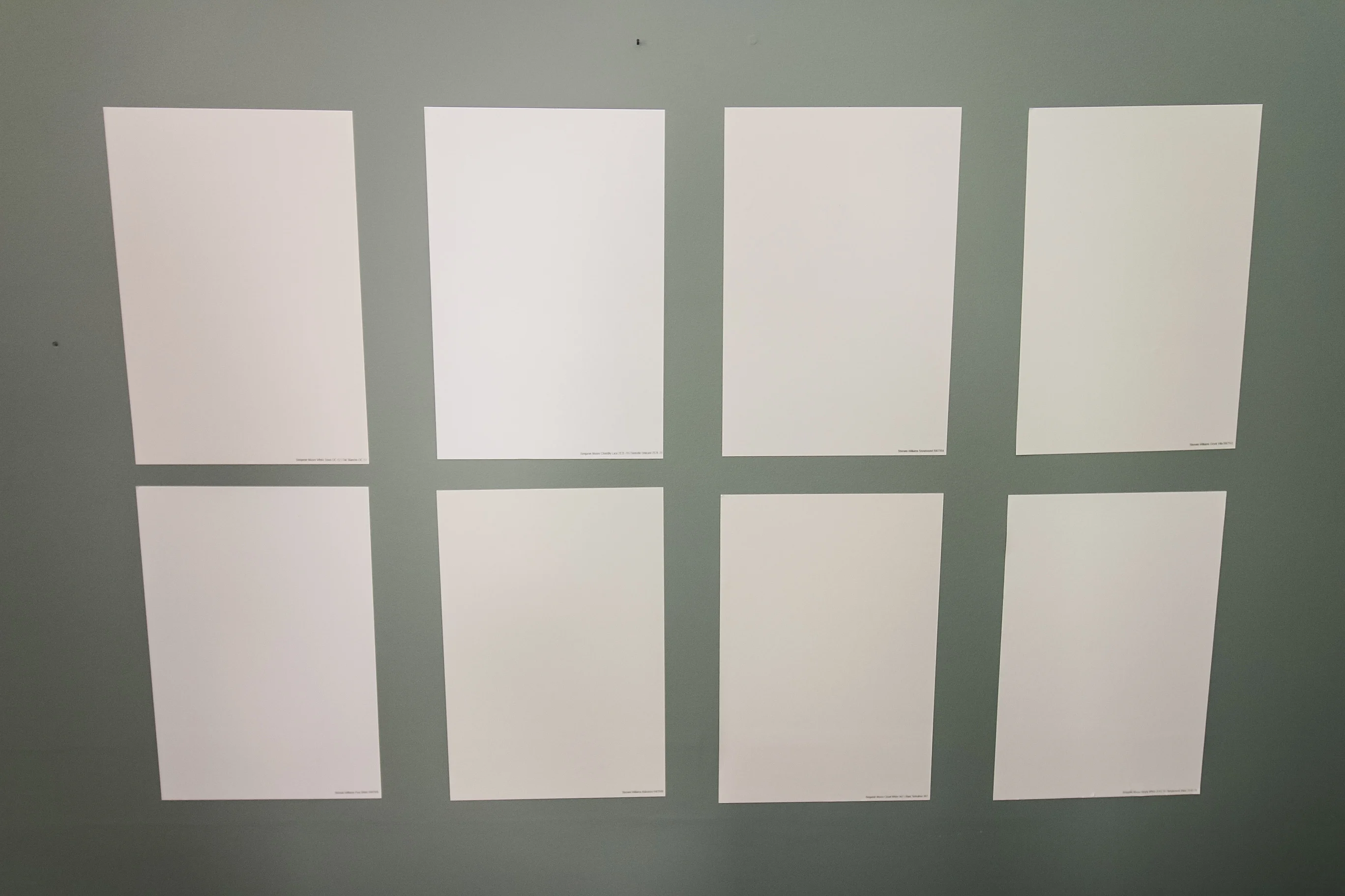 white paint samples on a wall