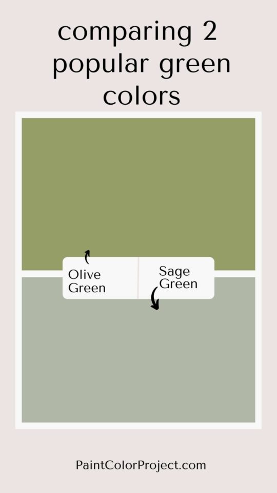 Olive green vs Sage green - what is the difference? - The Paint Color ...