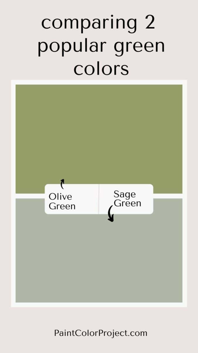 Olive green vs Sage green what is the difference? The Paint Color